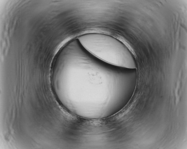 X0000096970853200802080921