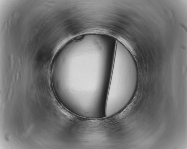 X0000096970854200802080921