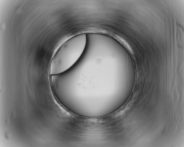 X0000096970855200802080921