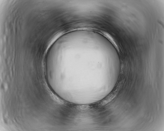 X0000096970859200802080921