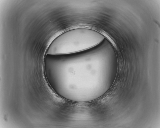 X0000096970861200802080921