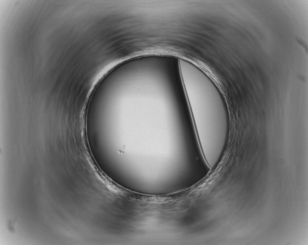 X0000096970862200802080921