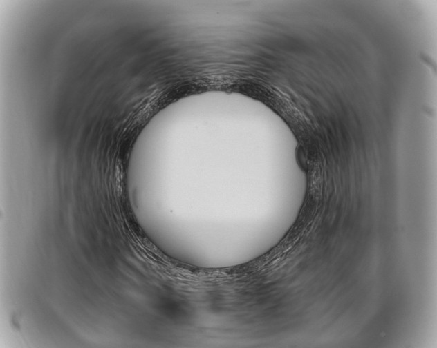 X0000096970866200802080921