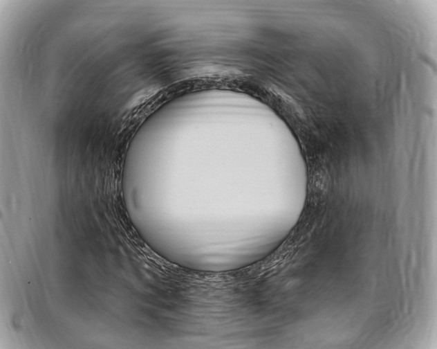 X0000096970869200802080921