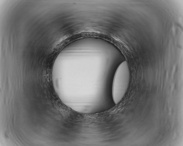 X0000096970870200802080921