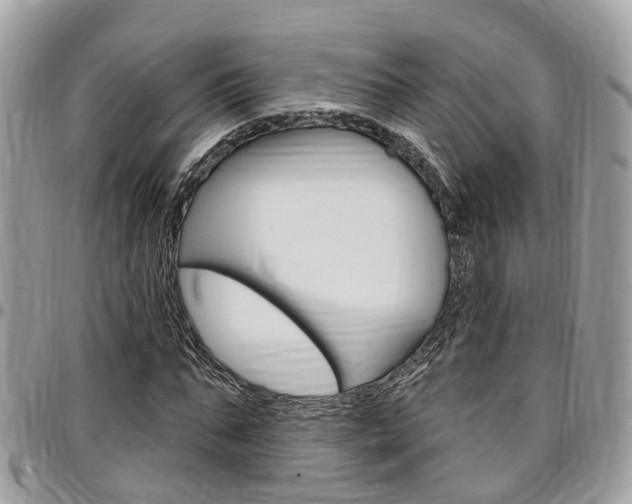 X0000096970871200802080921