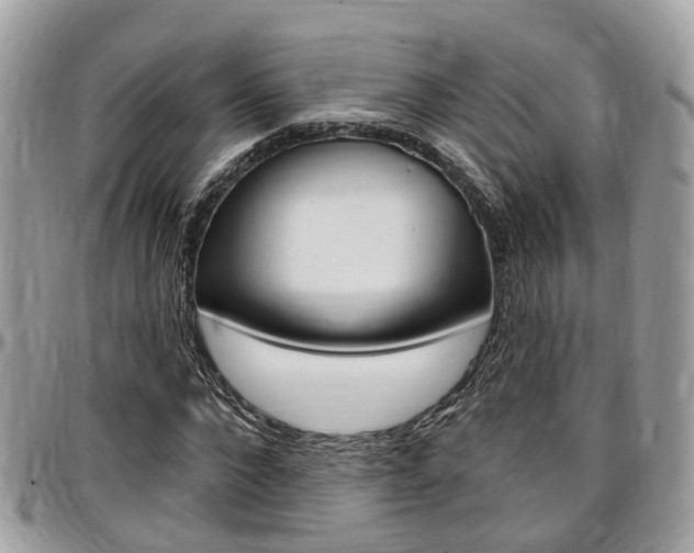 X0000096970872200802080921