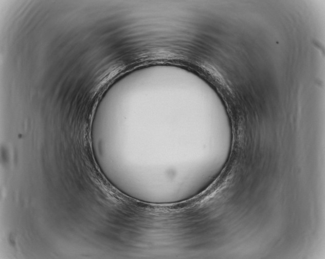 X0000096970873200802080921
