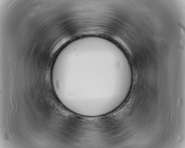 X0000096970874200802080921