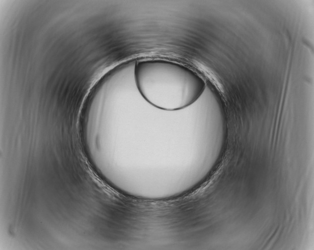 X0000096970876200802080921