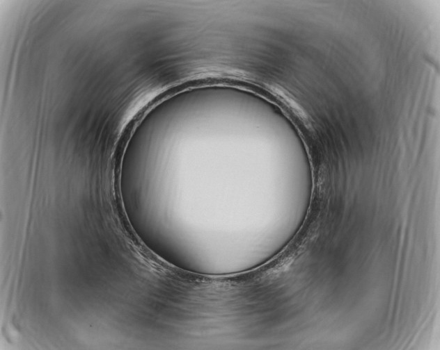 X0000096970877200802080921