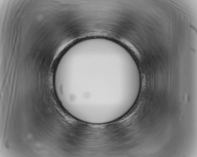 X0000096970878200802080921