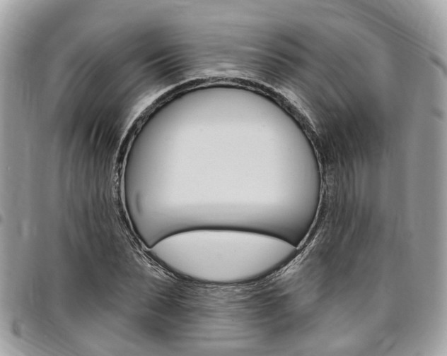 X0000096970879200802080921
