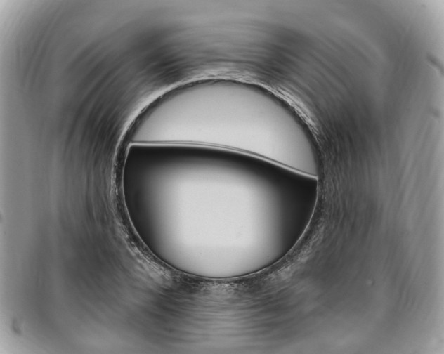 X0000096970880200802080921