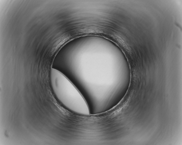 X0000096970881200802080921