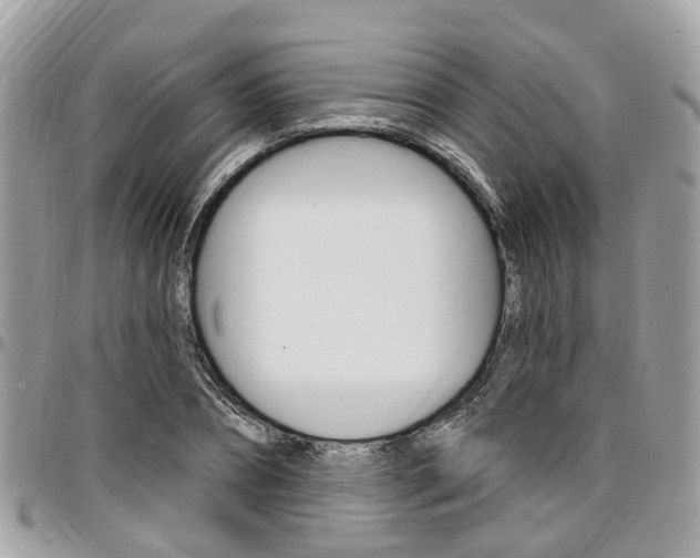 X0000096970882200802080921