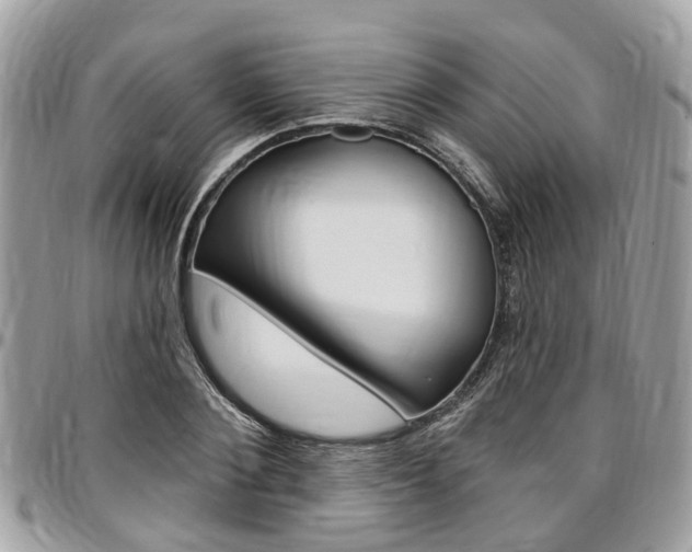X0000096970884200802080921