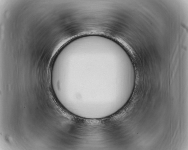 X0000096970886200802080921