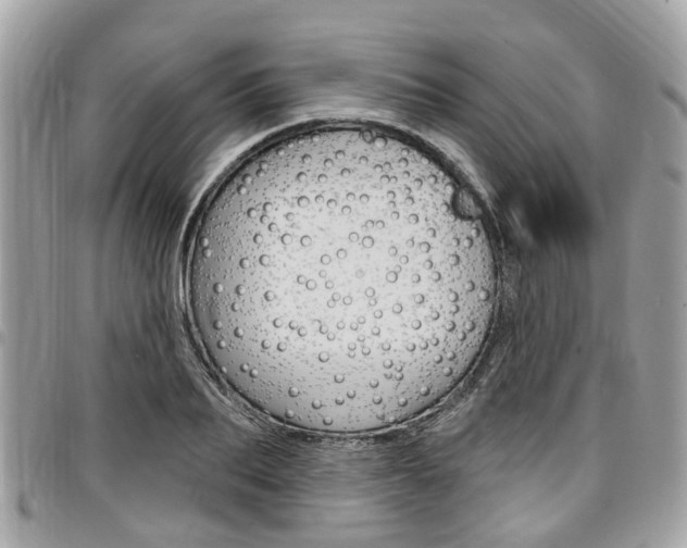 X0000096970887200802080921