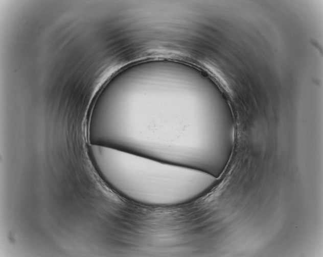 X0000096970891200802080921