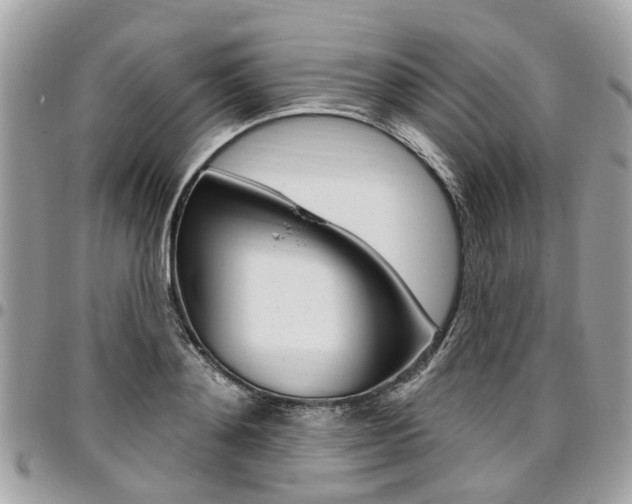 X0000096970892200802080920