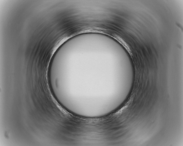 X0000096970893200802080920