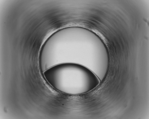X0000096970894200802080920