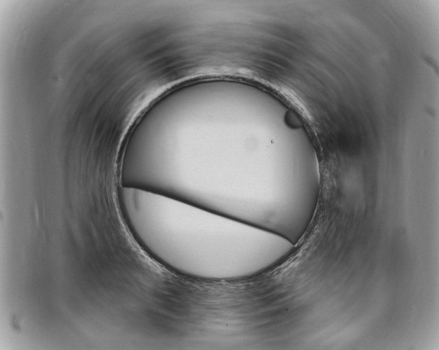 X0000096970895200802080920