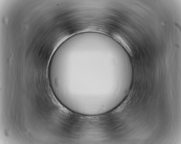X0000096970900200802080920