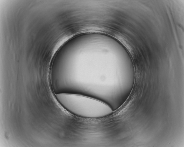 X0000096970901200802080920