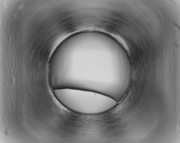X0000096970903200802080920