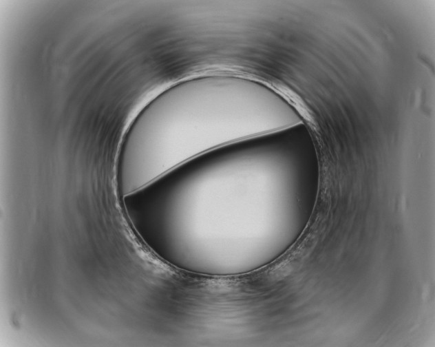 X0000096970904200802080920
