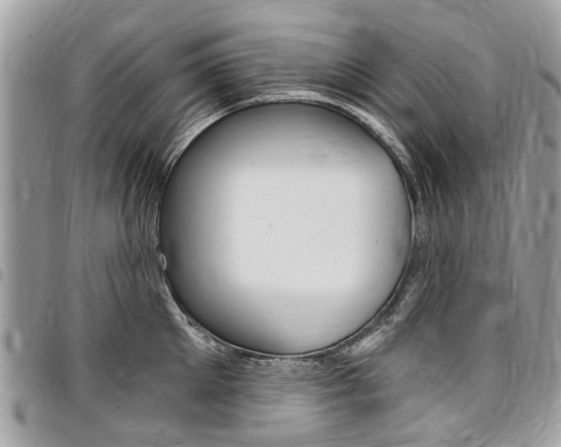 X0000096970905200802080920