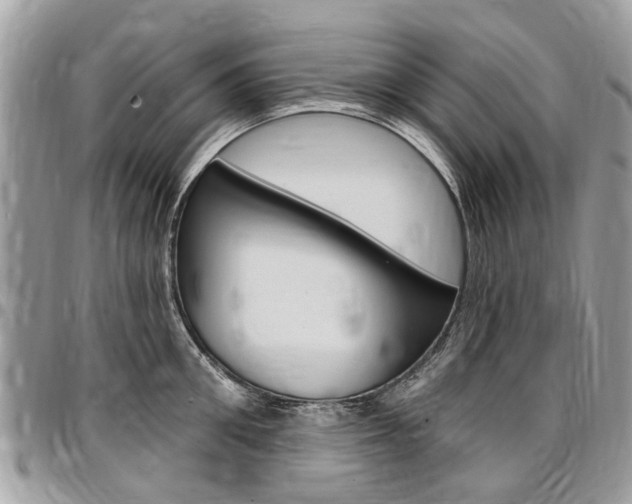 X0000096970906200802080920