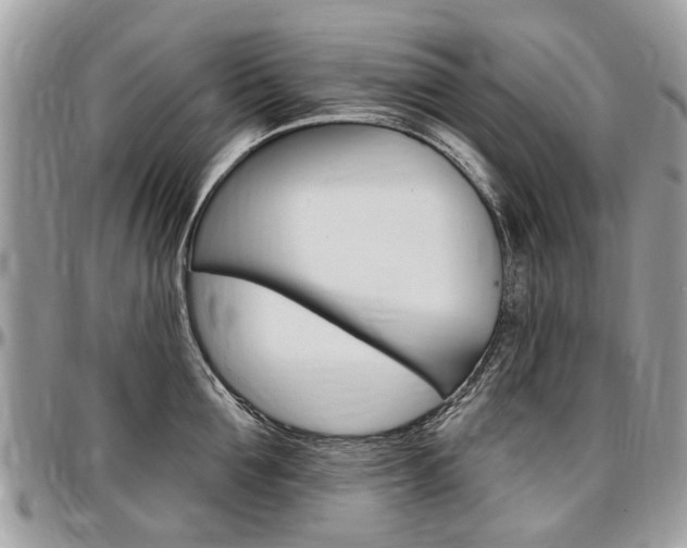 X0000096970907200802080920