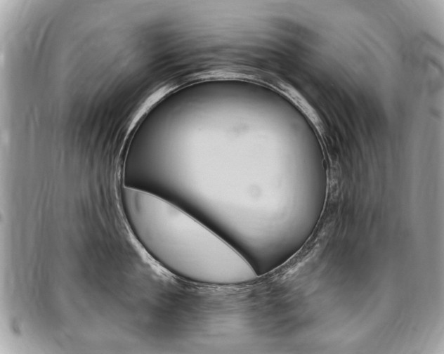X0000096970909200802080920