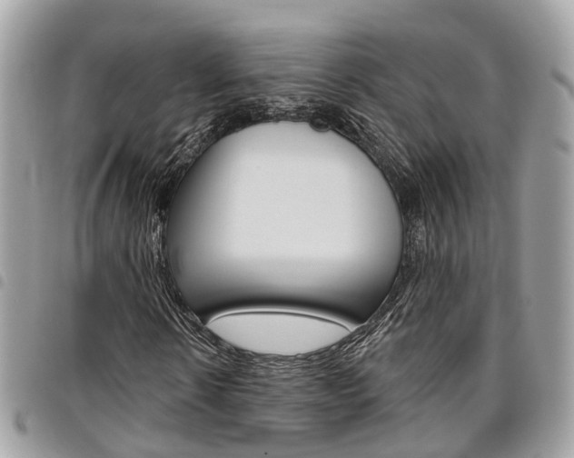 X0000096970914200802080920