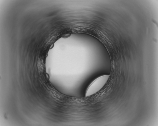 X0000096970915200802080920