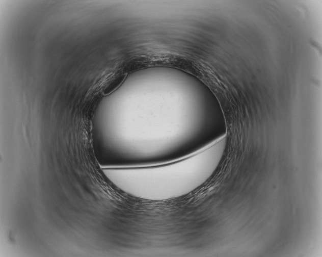 X0000096970916200802080920
