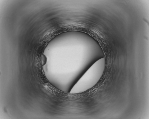 X0000096970917200802080920