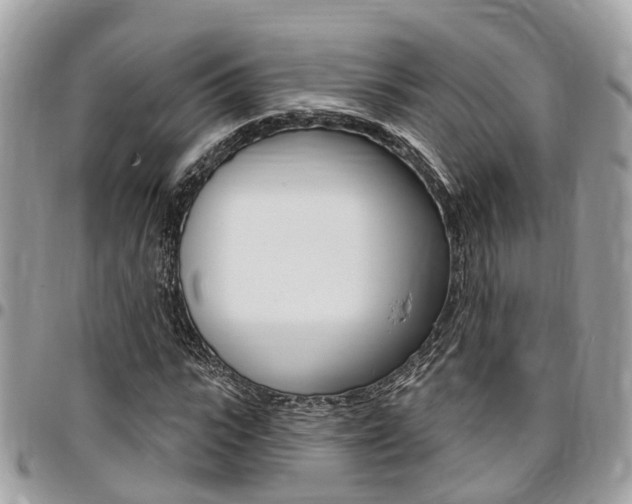 X0000096970919200802080920