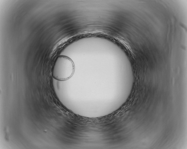 X0000096970920200802080920