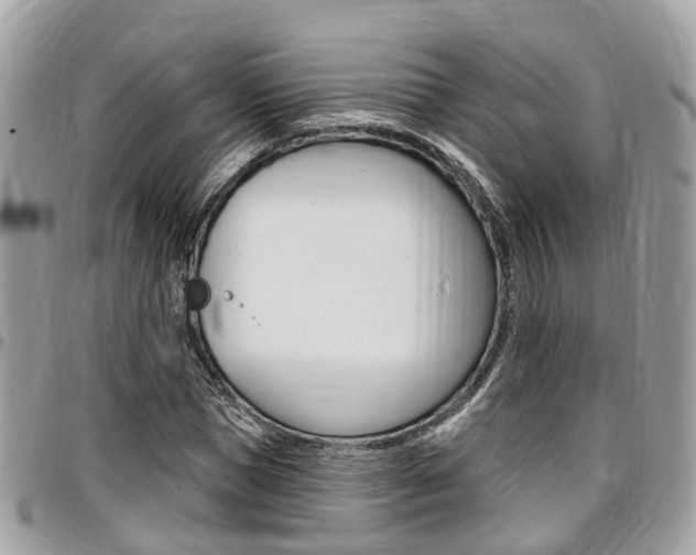 X0000096970921200802080920