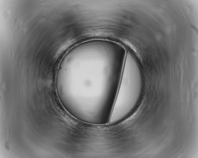 X0000096970922200802080920