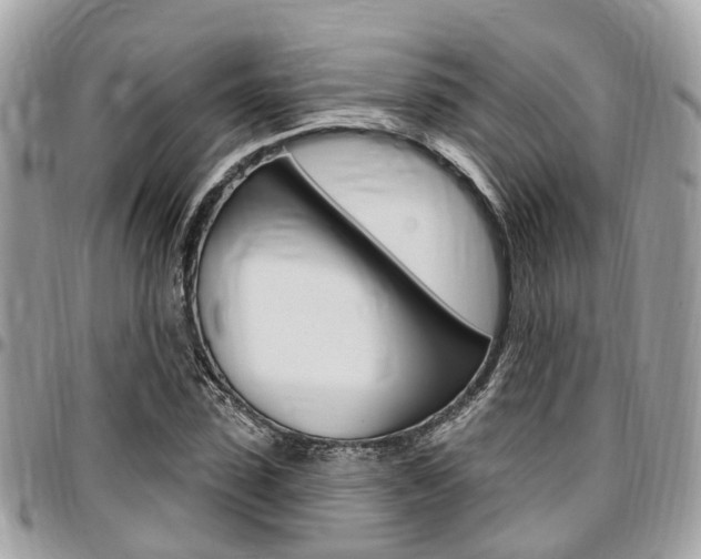 X0000096970923200802080920