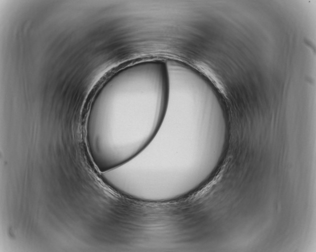 X0000096970924200802080920