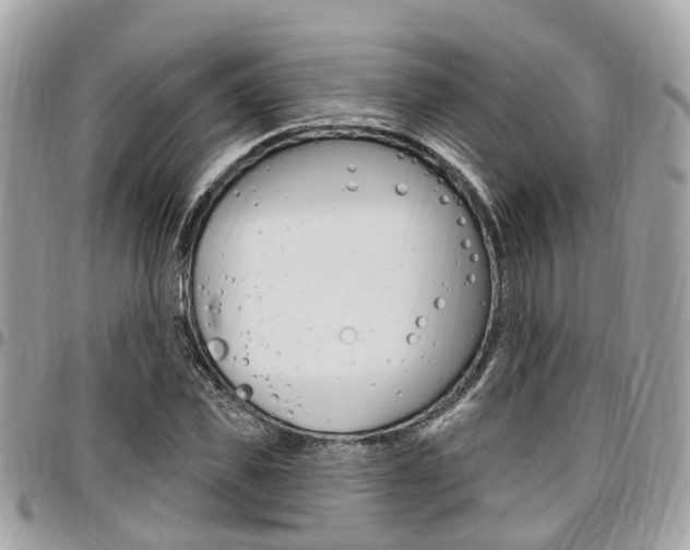 X0000096970925200802080920