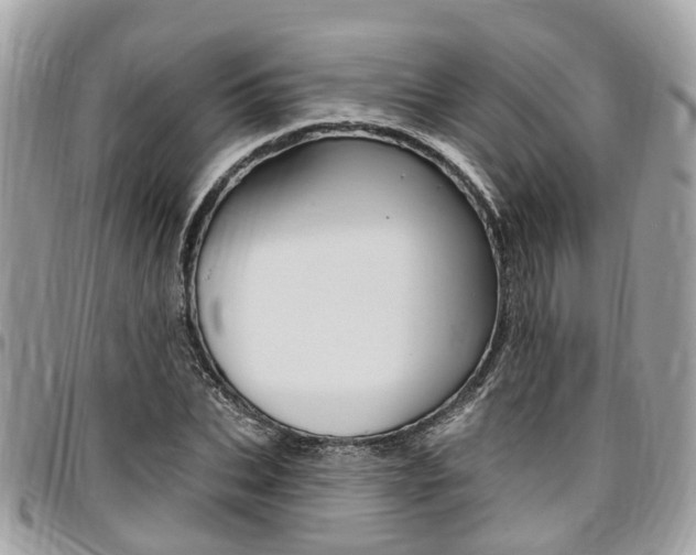 X0000096970927200802080920