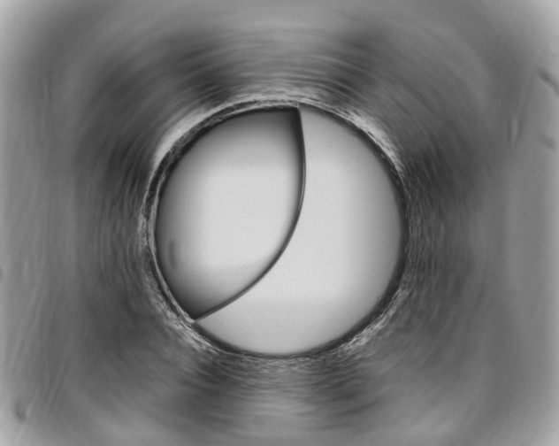X0000096970928200802080920