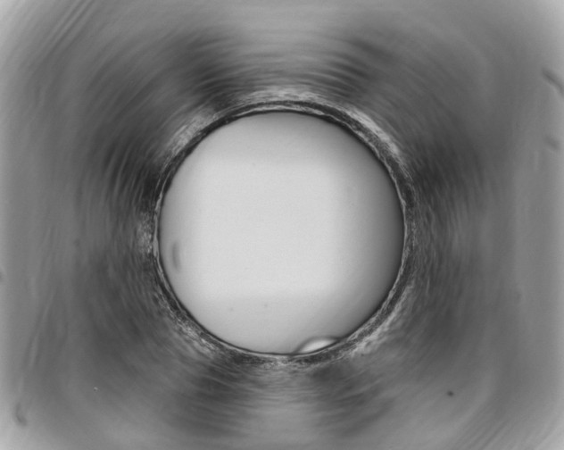 X0000096970929200802080920